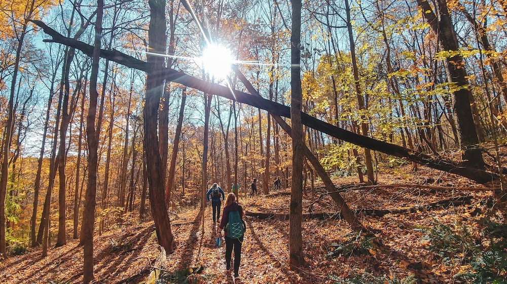 Ohio fall color forester David Parrott suggests heading into the forest for better fall color. CONTRIBUTED ODNR