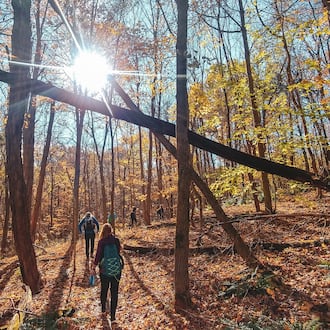 Ohio fall color forester David Parrott suggests heading into the forest for better fall color. CONTRIBUTED