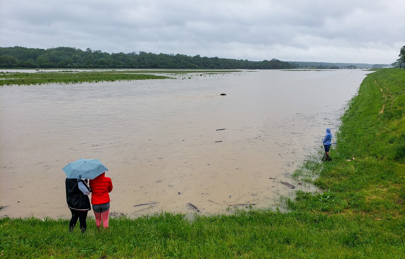 PHOTOS: Heavy rain causes flooding in Butler County