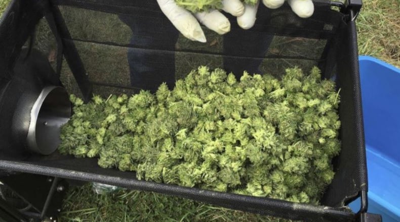 Liberty Twp. trustees agreed Tuesday to ban all medical marijuana businesses, but may reconsider later allowing dispensaries after more research can be done. ANDREW SELSKY/ASSOCIATED PRESS