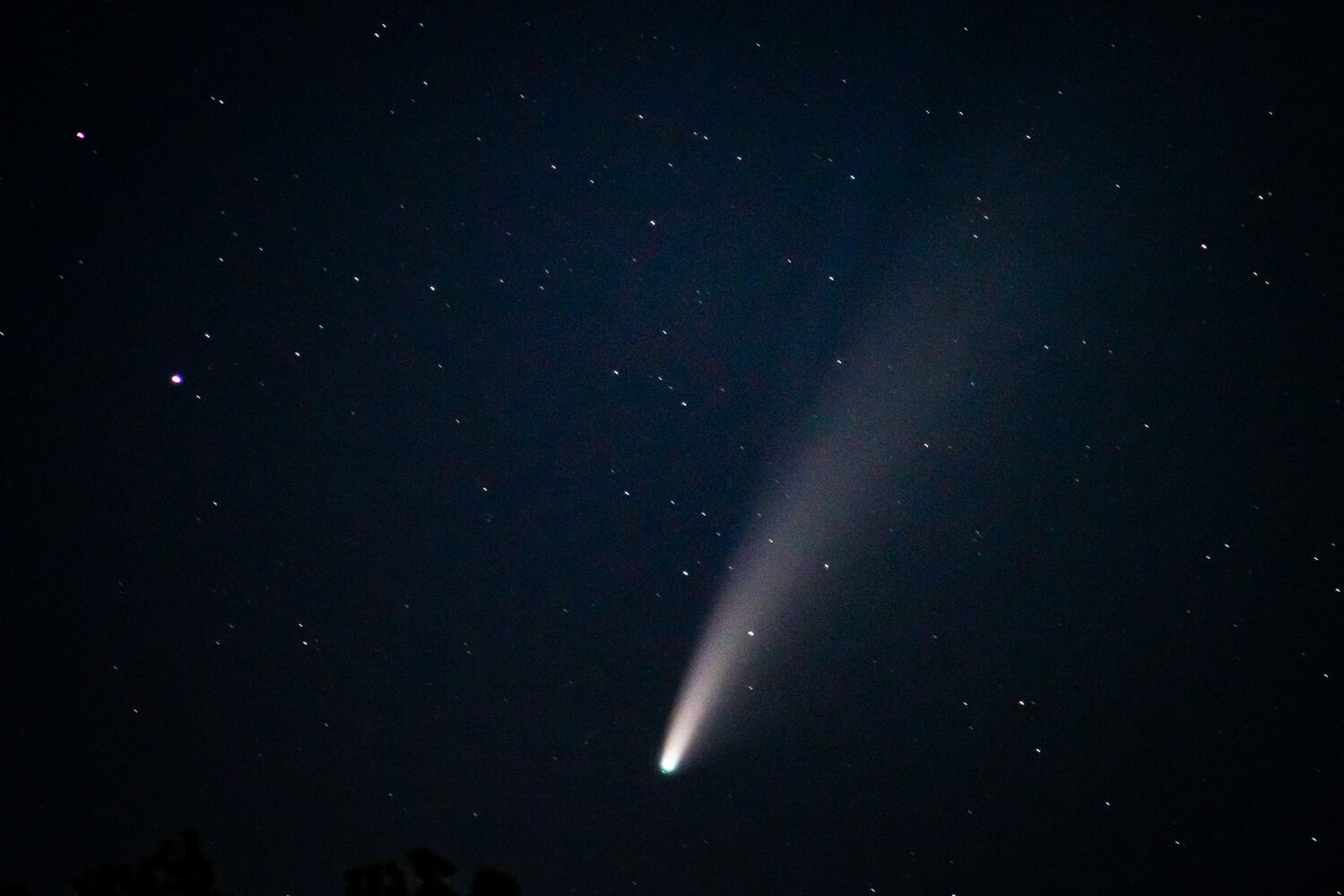 NEOWISE comet visible in the night sky