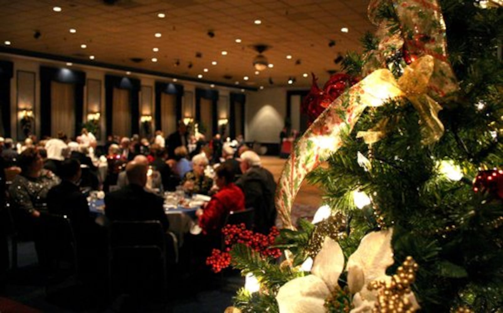 Past Charity Ball events