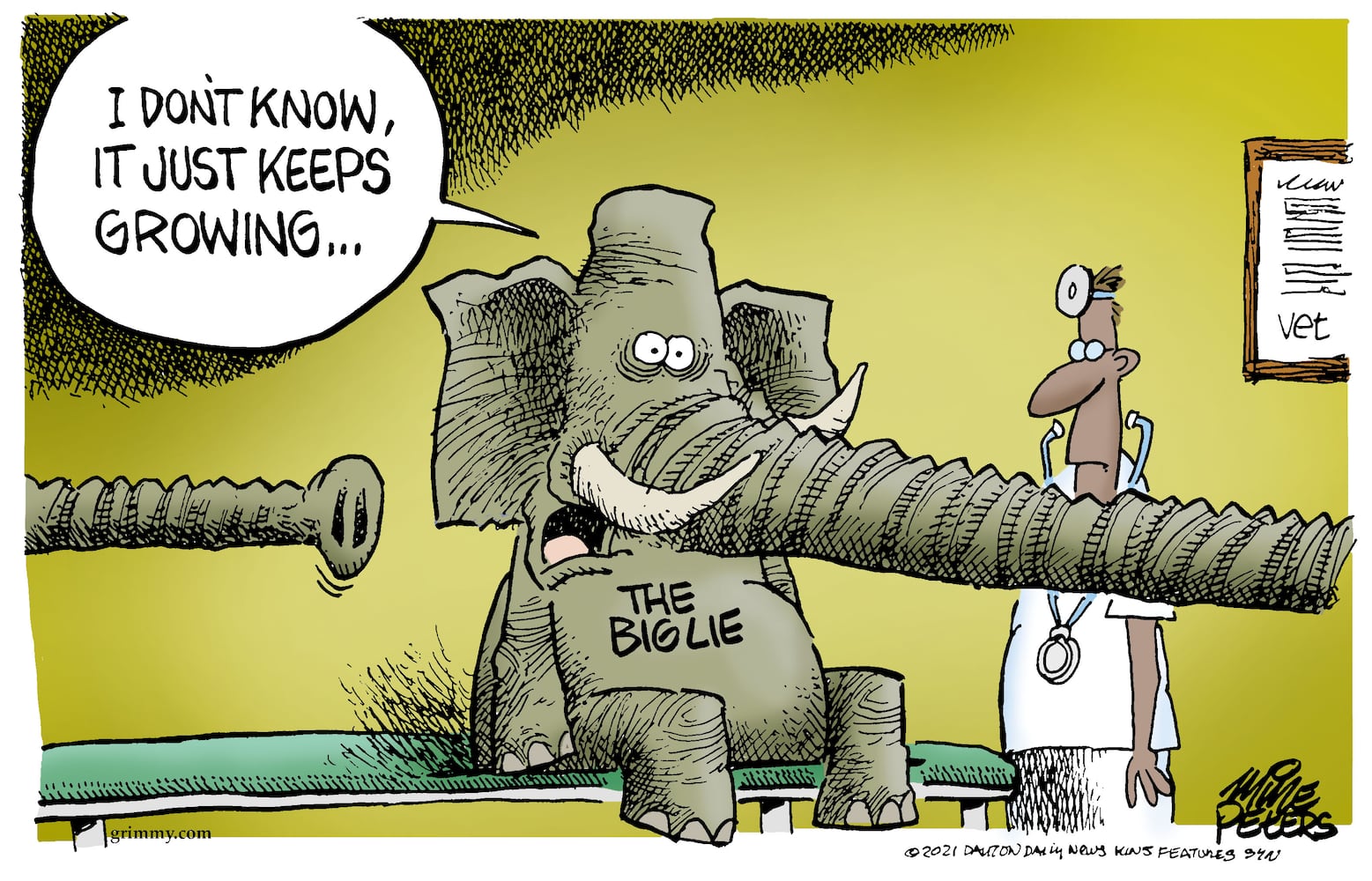 Week in cartoons: Facebook ban, pipeline ransom and more
