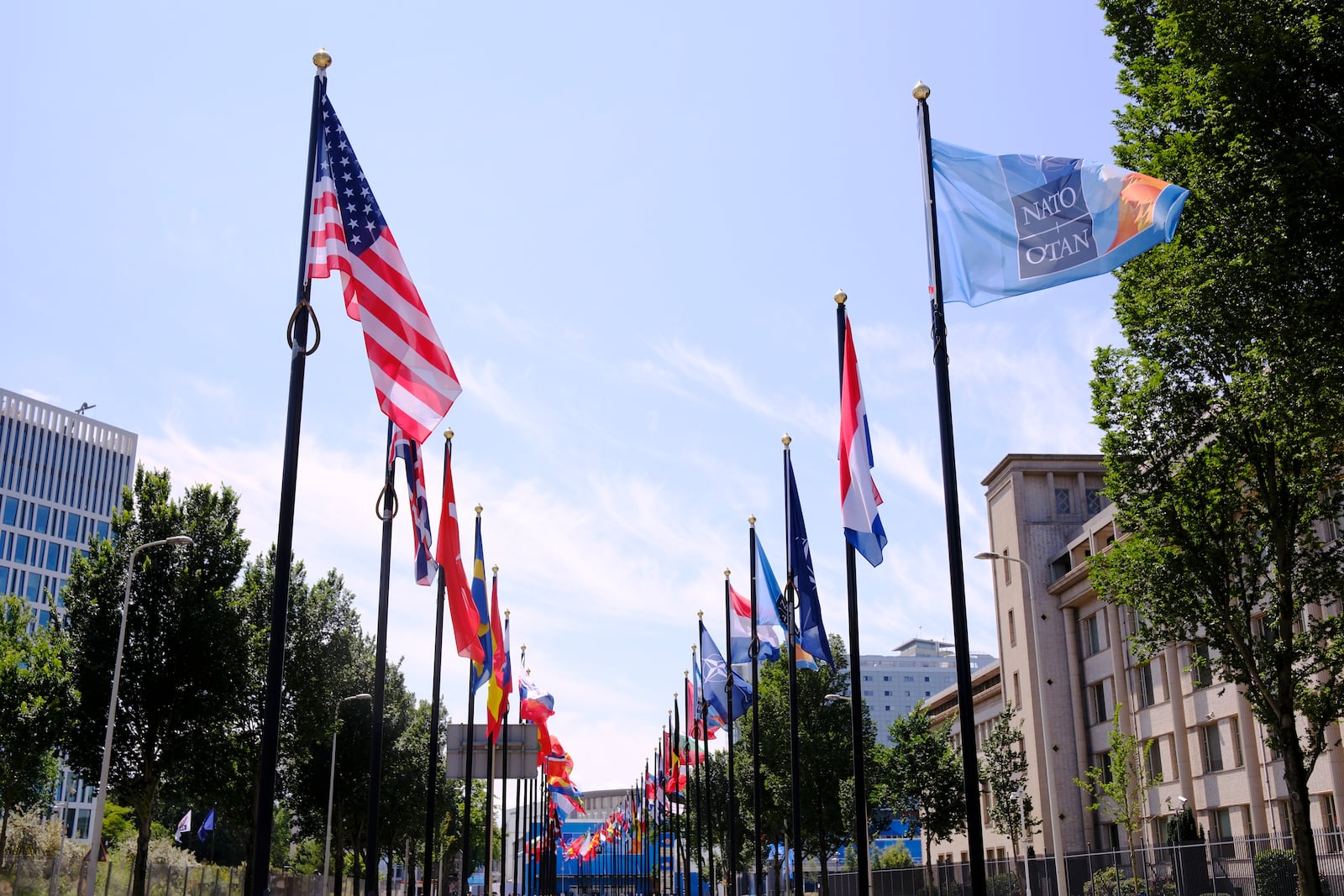 International flags on the venue ahead of the upcoming NATO summit in The Hague, Netherlands, Monday, June 23, 2025. (AP Photo/Patrick Post)