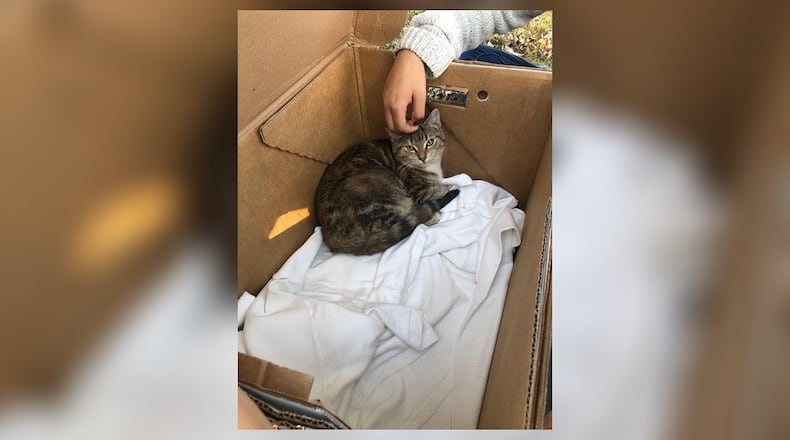 Fire crews from a half dozen different townships and cities helped to battle a house fire in Morgan Township that resulted in the loss of the home but a rescue of two family cats.(Provided photo/Journal-News)