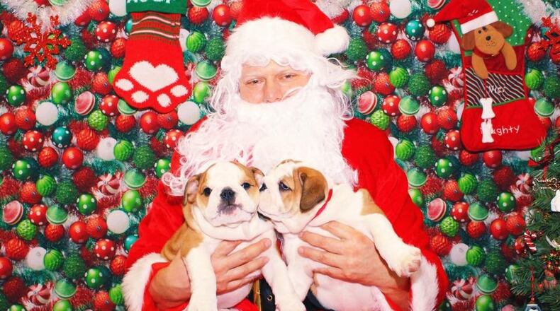 Peaches Bully Rescue and Mandy s Dog-O-Matt are teaming up for a dog washing/raffel fundraiser to raise money to pay rescued dog medical bills.