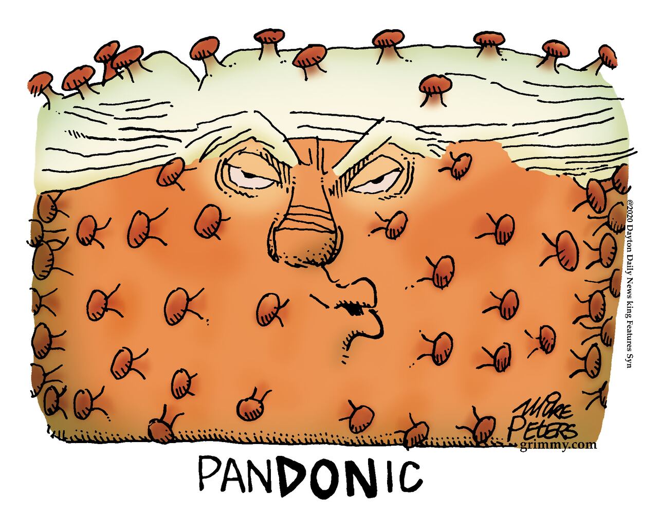 Week in cartoons: Democracy, Alex Trebek and more