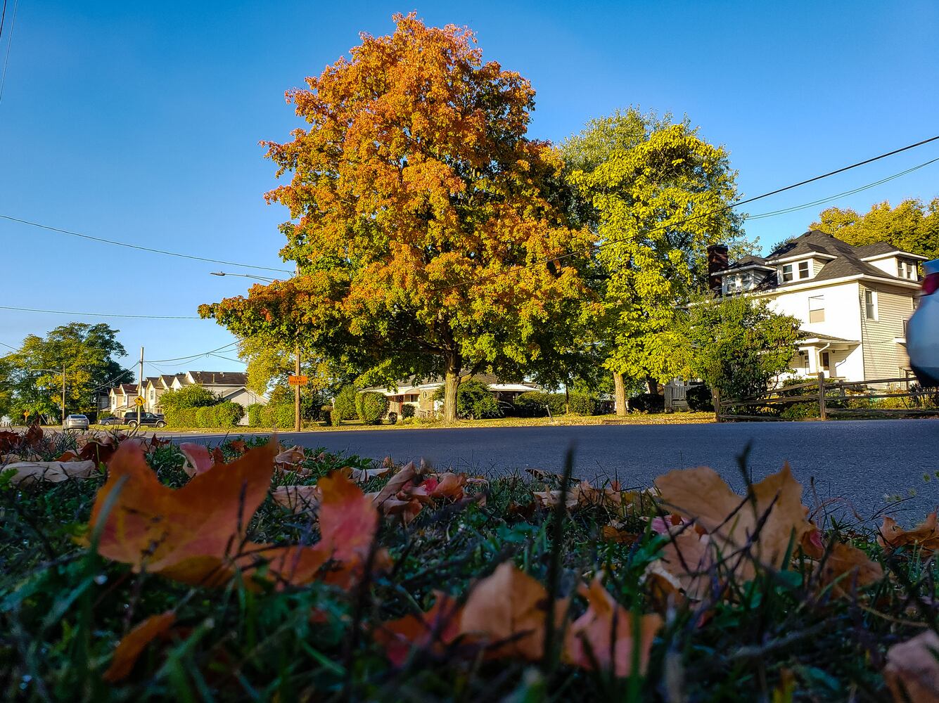 Fall colors October 2020