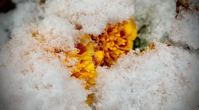 The first fall snowfall of the season arrived on Saturday, Nov. 12, 2022. Isolated snow showers are expected today, which will be cold with highs around freezing. MARSHALL GORBY\STAFF