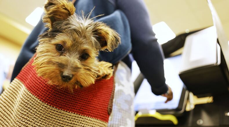 Early voting in Butler County. NICK GRAHAM / STAFF