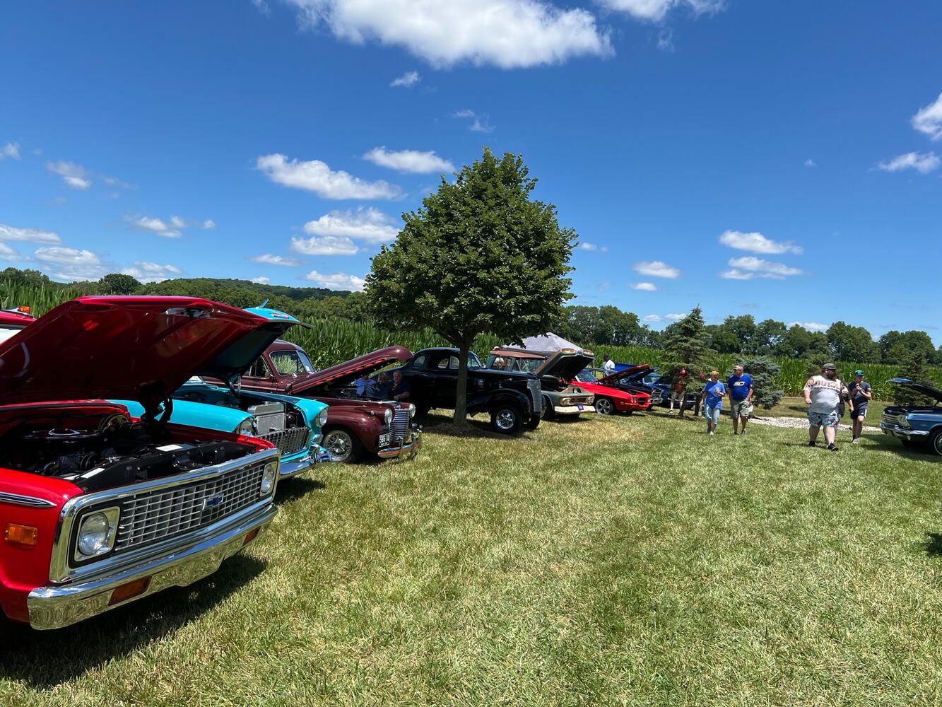 Cruise in