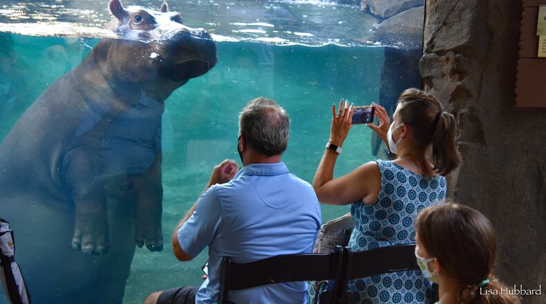 The Cincinnati Zoo &Botanical Gardens will host Breakfast with the Animals April 9 through August 28.