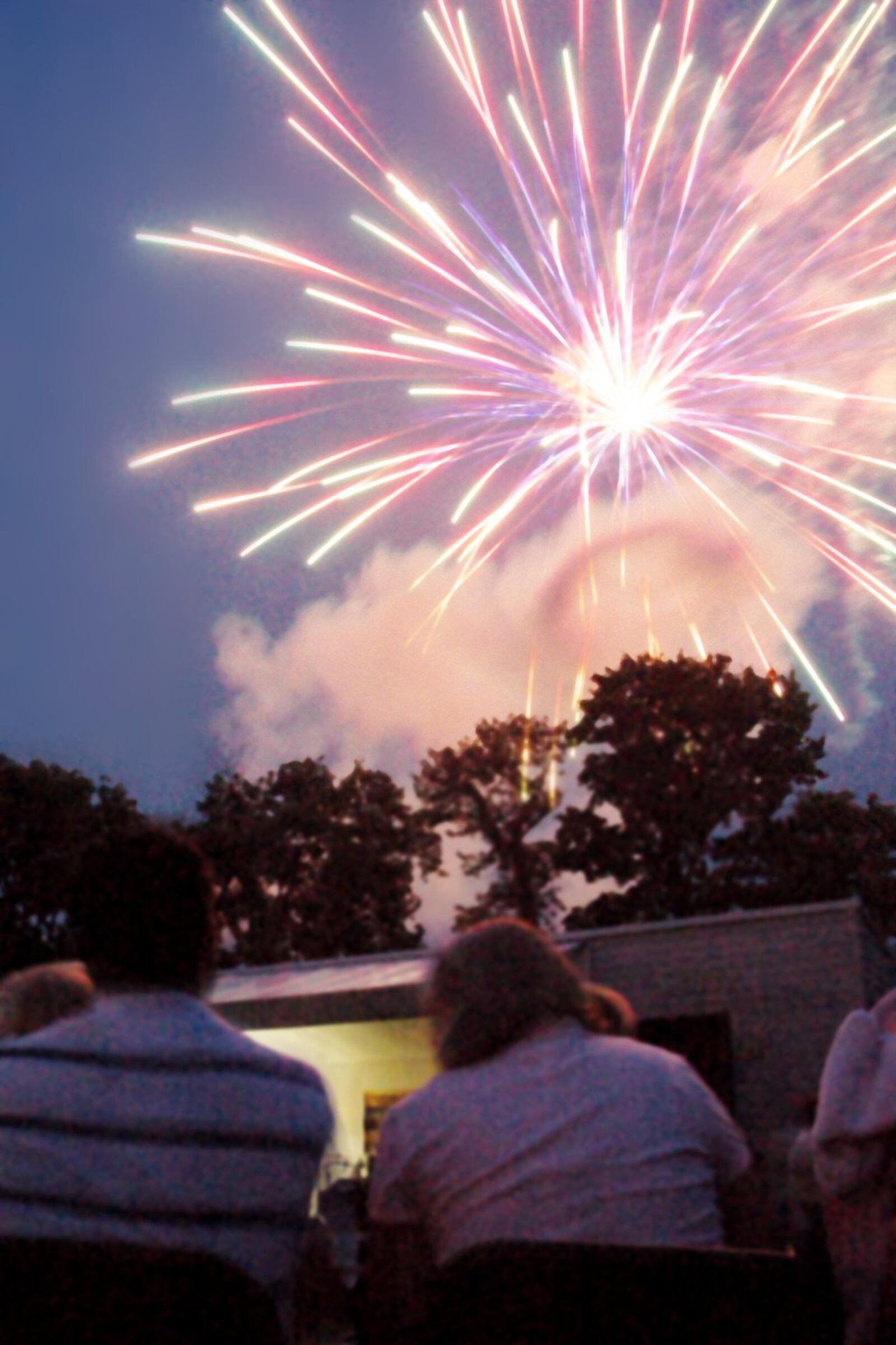 The large crowd at the Monroe Community Park watches the fireworks show during the annual Light Up The Sky festival. FILE PHOTO