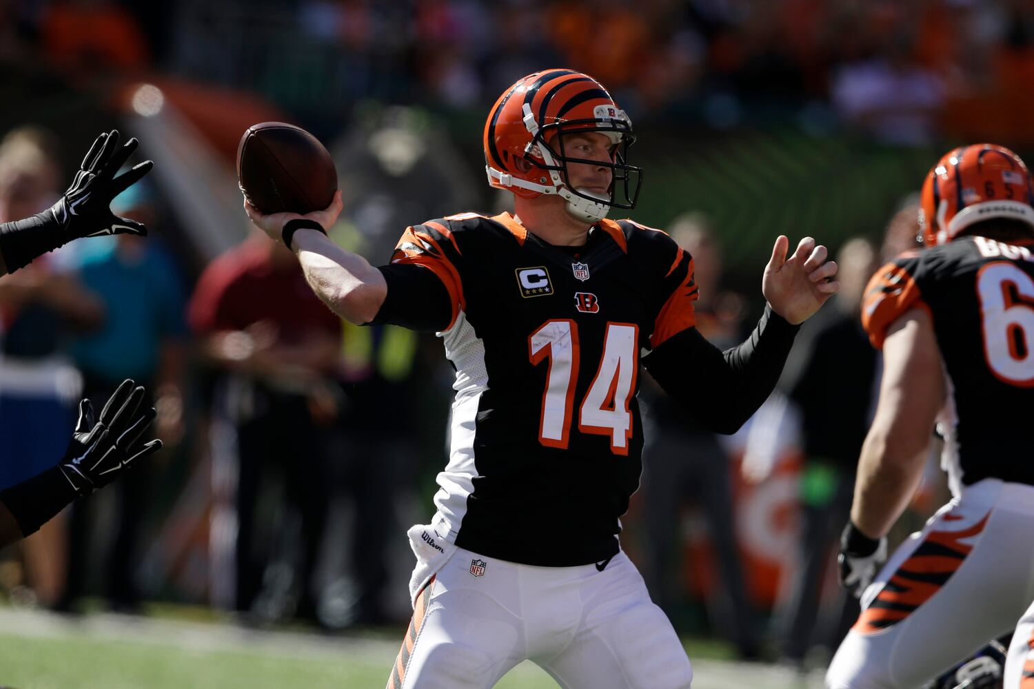 Cincinnati Bengals vs. Baltimore Ravens