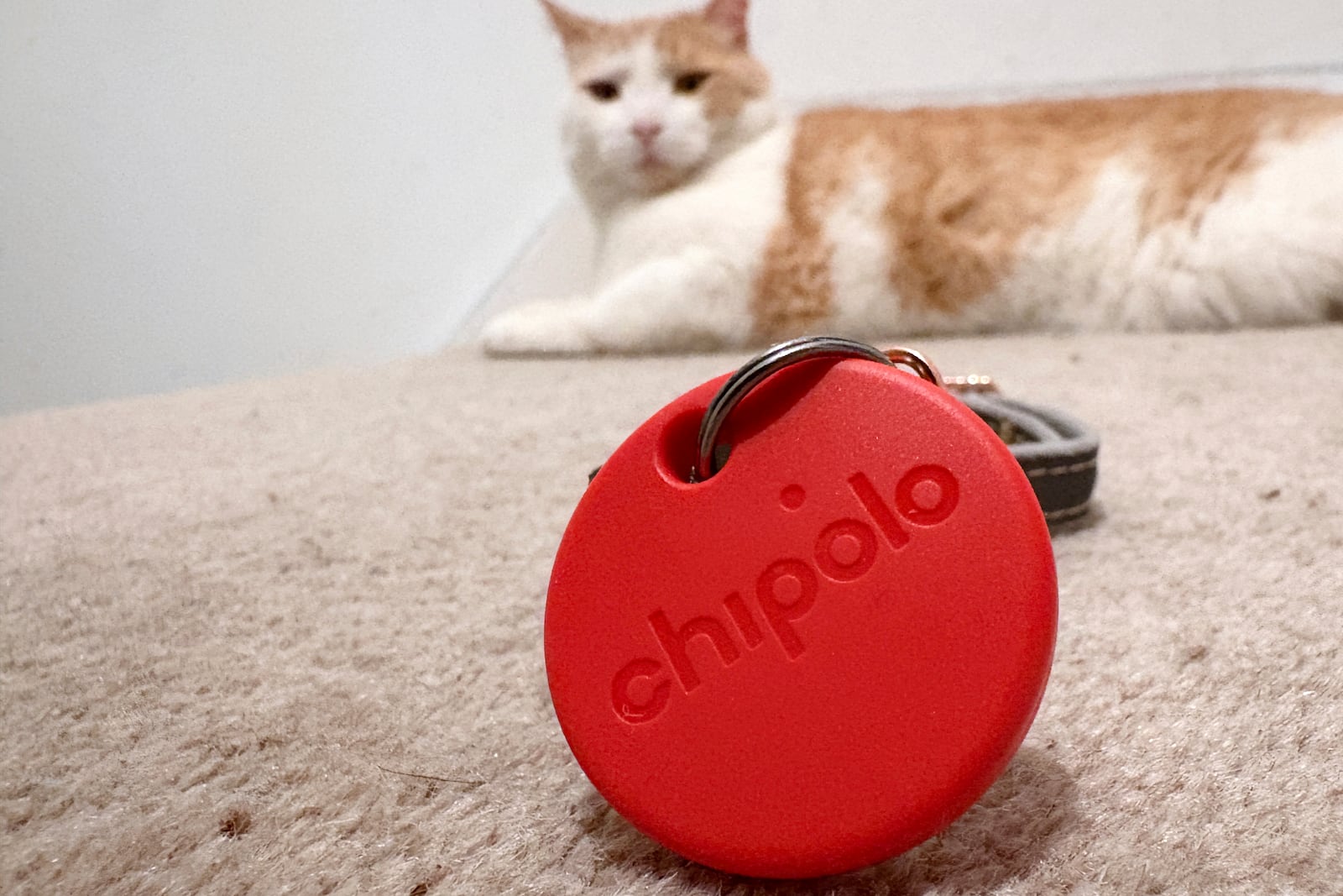 A Chipolo Bluetooth tracker is displayed while a cat rests in the background in London, Thursday, May 29, 2025.(AP Photo/Kelvin Chan)