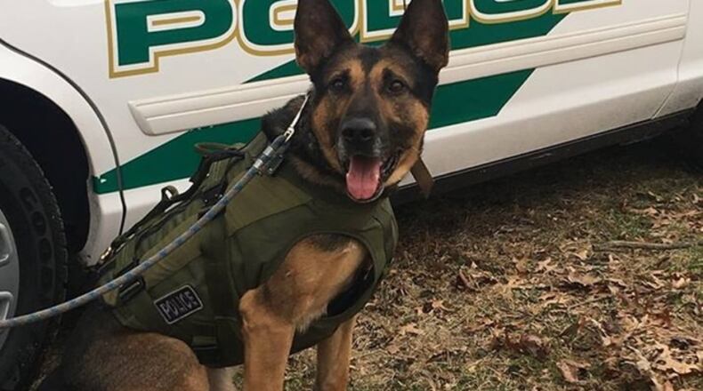 Green Twp. Police K-9 Dino (Contributed Photo/WCPO-TV)