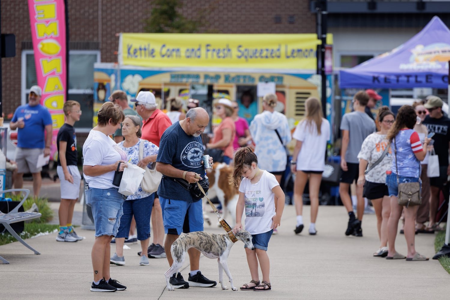 Hamilton Flea August 2024