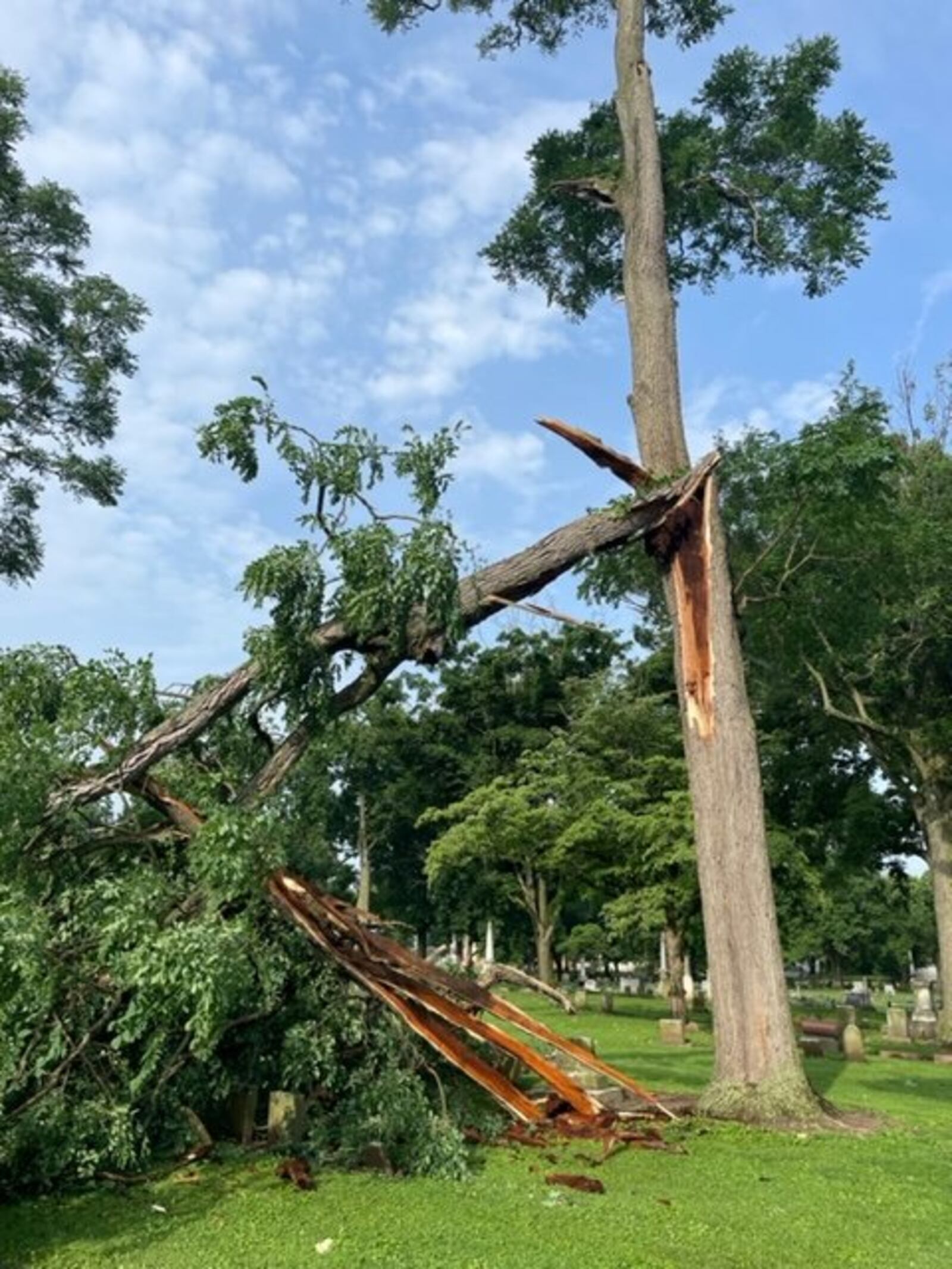 The historic section of the Greenwood Cemetery will remain closed until the fallen trees and limbs can be cleared. Winds of up to 70 miles per hour swept through southwest Ohio on Monday, June 13, which caused damage to countless trees, including those in the Hamilton cemetery. PROVIDED/FACEBOOK.COM