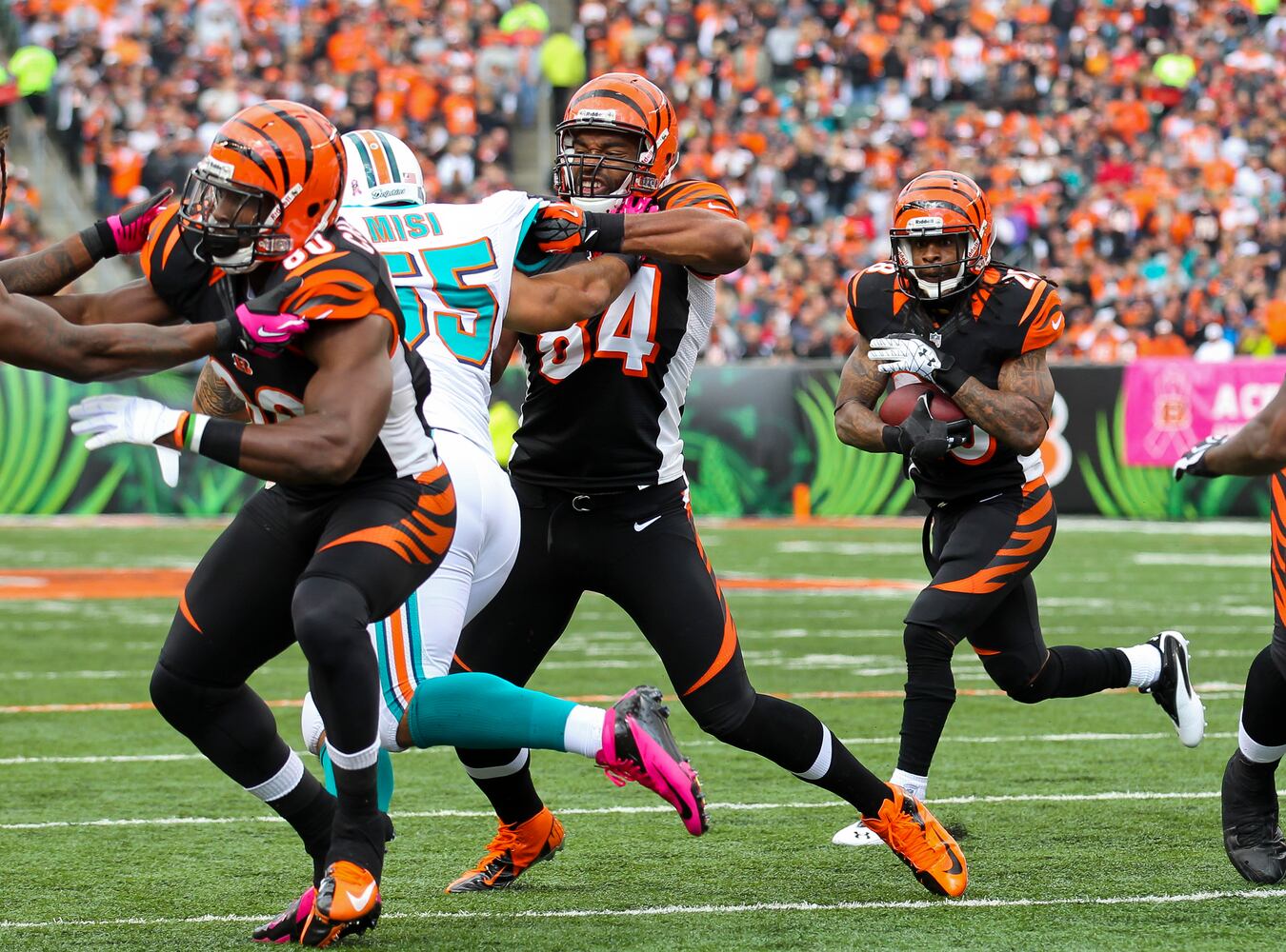 Bengals vs. Dolphins