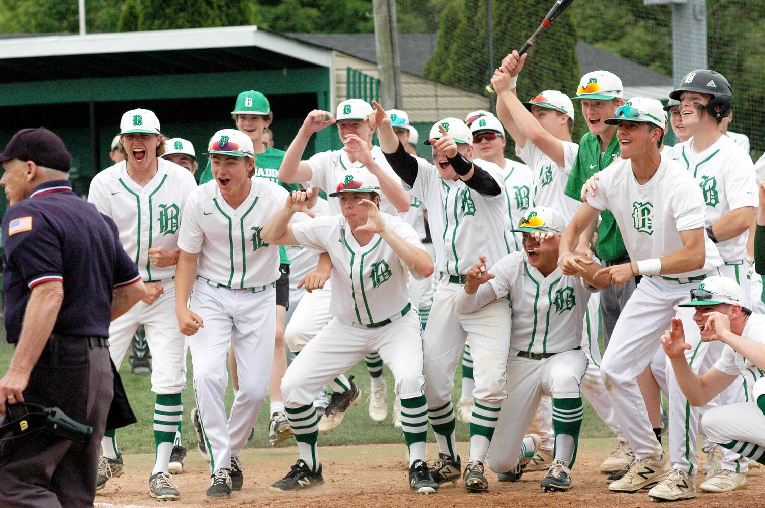 PHOTOS: Badin Vs. Oak Hills Division I Sectional High School Baseball