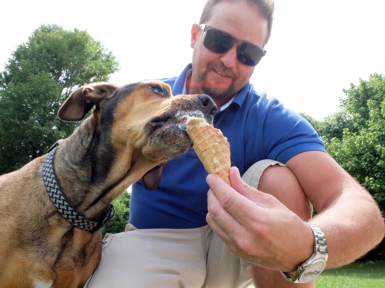 News hounds (7/9/15)