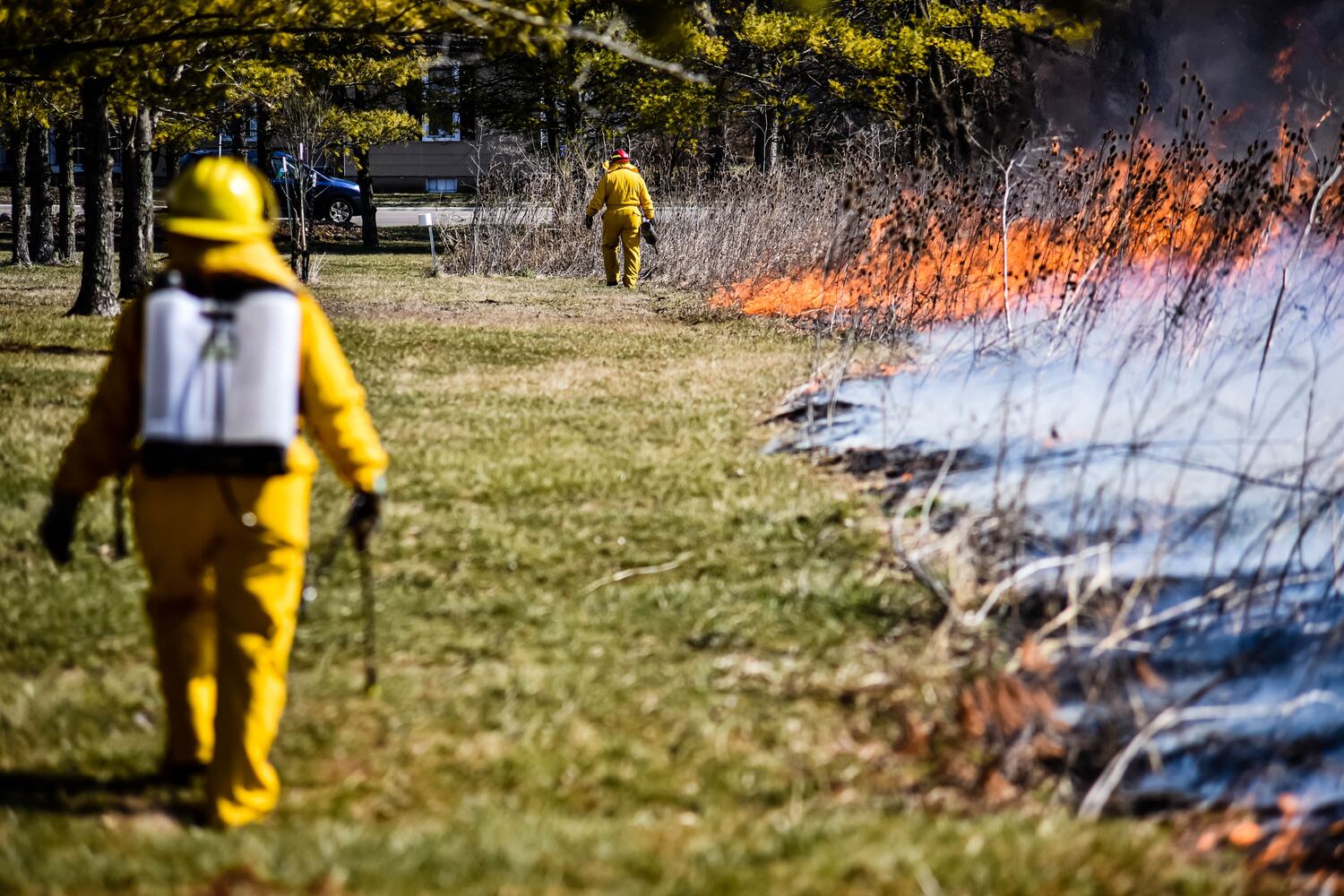 Controlled burns at Riverside Natural Area in Hamilton