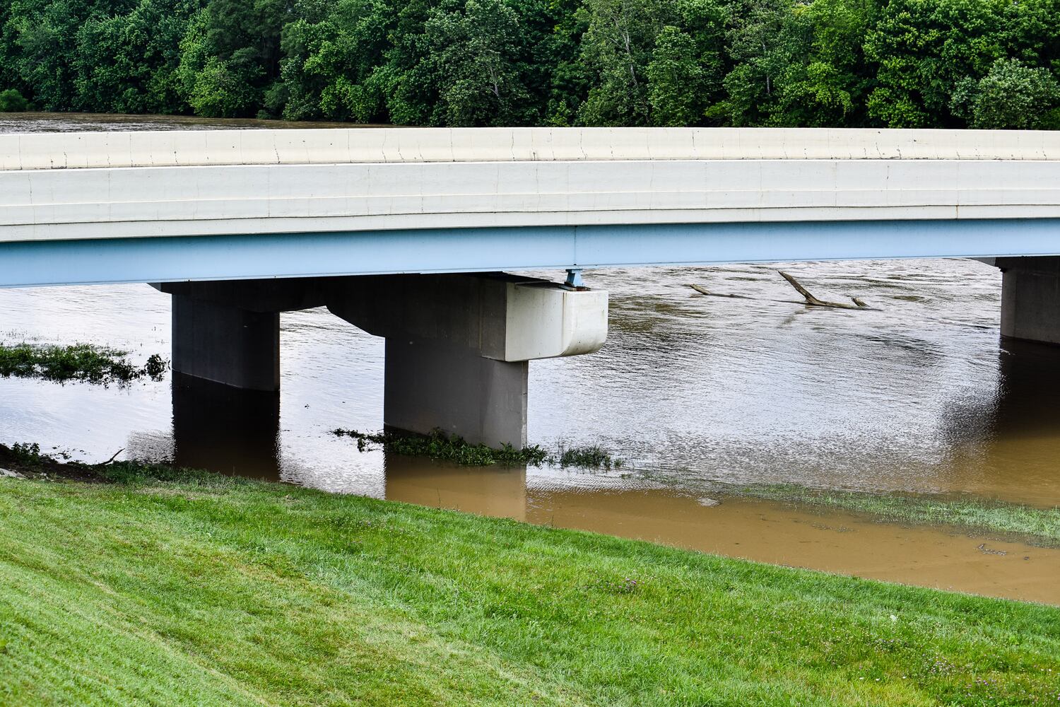 Great Miami River level higher than normal after  heavy rain