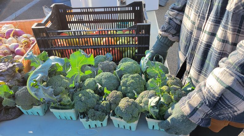 One local vegetable that has surprisingly been available of late at Oxford’s Farmers Market is broccoli, courtesy of Jennifer Bayne’s 7 Wonders Farm. The farm has hoop houses where crops such as broccoli are grown protected from the harsh weather. CONTRIBUTED