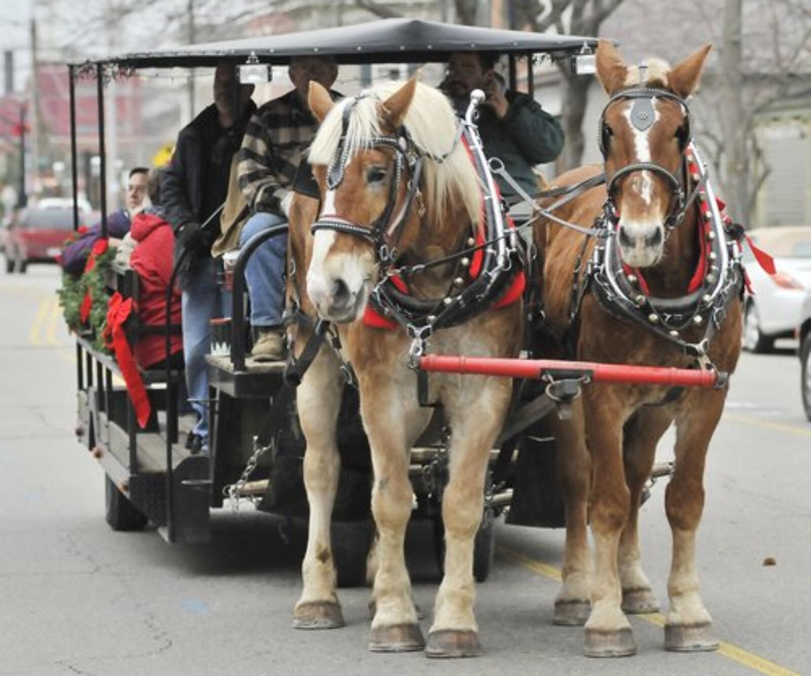 Many braved the weather Sunday for the Annual German Village Christmas Walk in Hamilton. The annual walk gives people the oppurtunity to view some of the historical houses in the village as well as carriage rides, face painting, visiting Santa and music at several different locations.