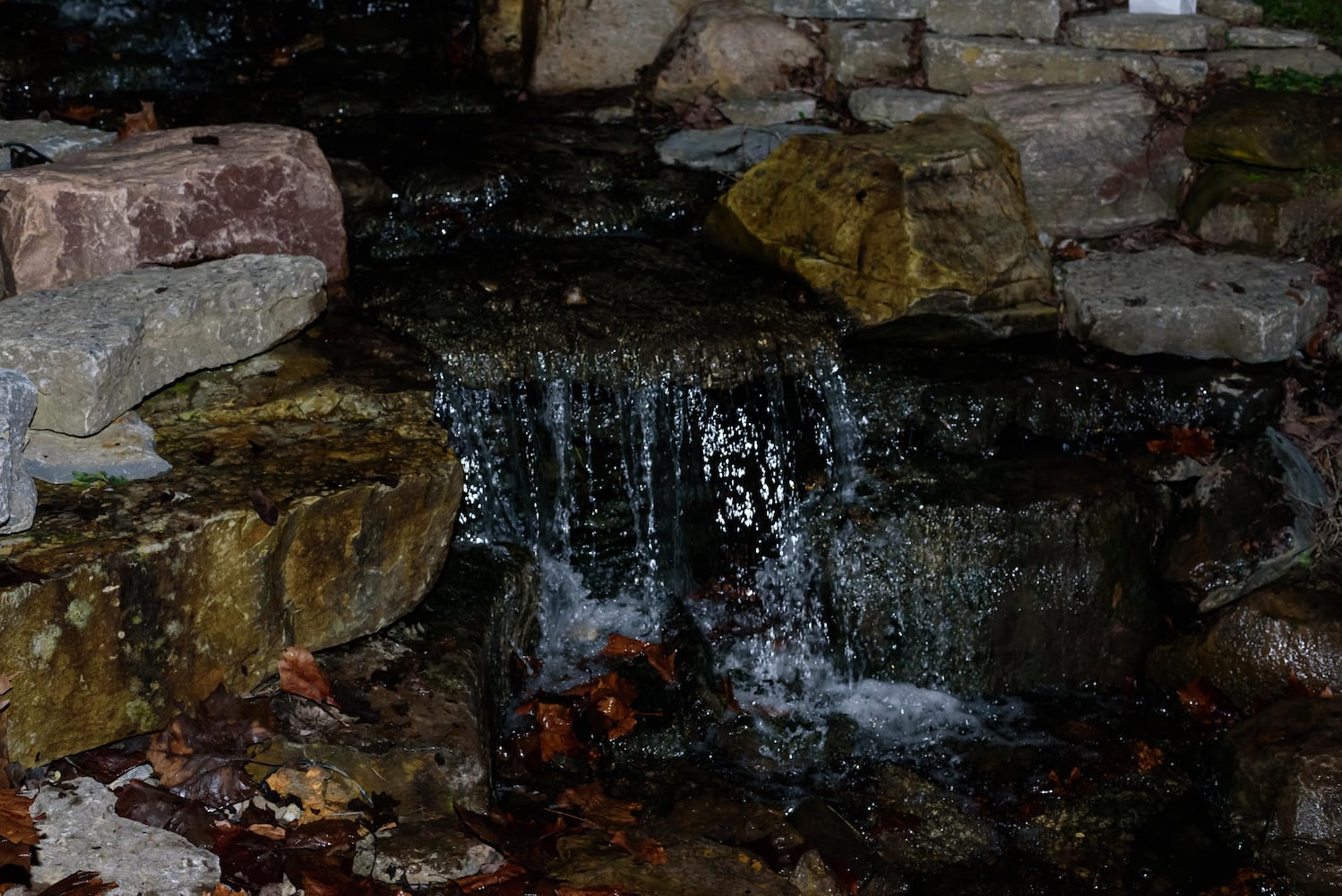 PHOTOS: Holiday Luminary Walk & Live Nativity at Hidden Valley Orchards