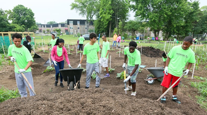 Hamilton youth in last summer’s job and mentoring program operated by Pastor Shaquila Mathews mulch, weed, water, and harvest from the Hamilton Urban Gardens. The program is returning for a second year starting June 9. GREG LYNCH / STAFF