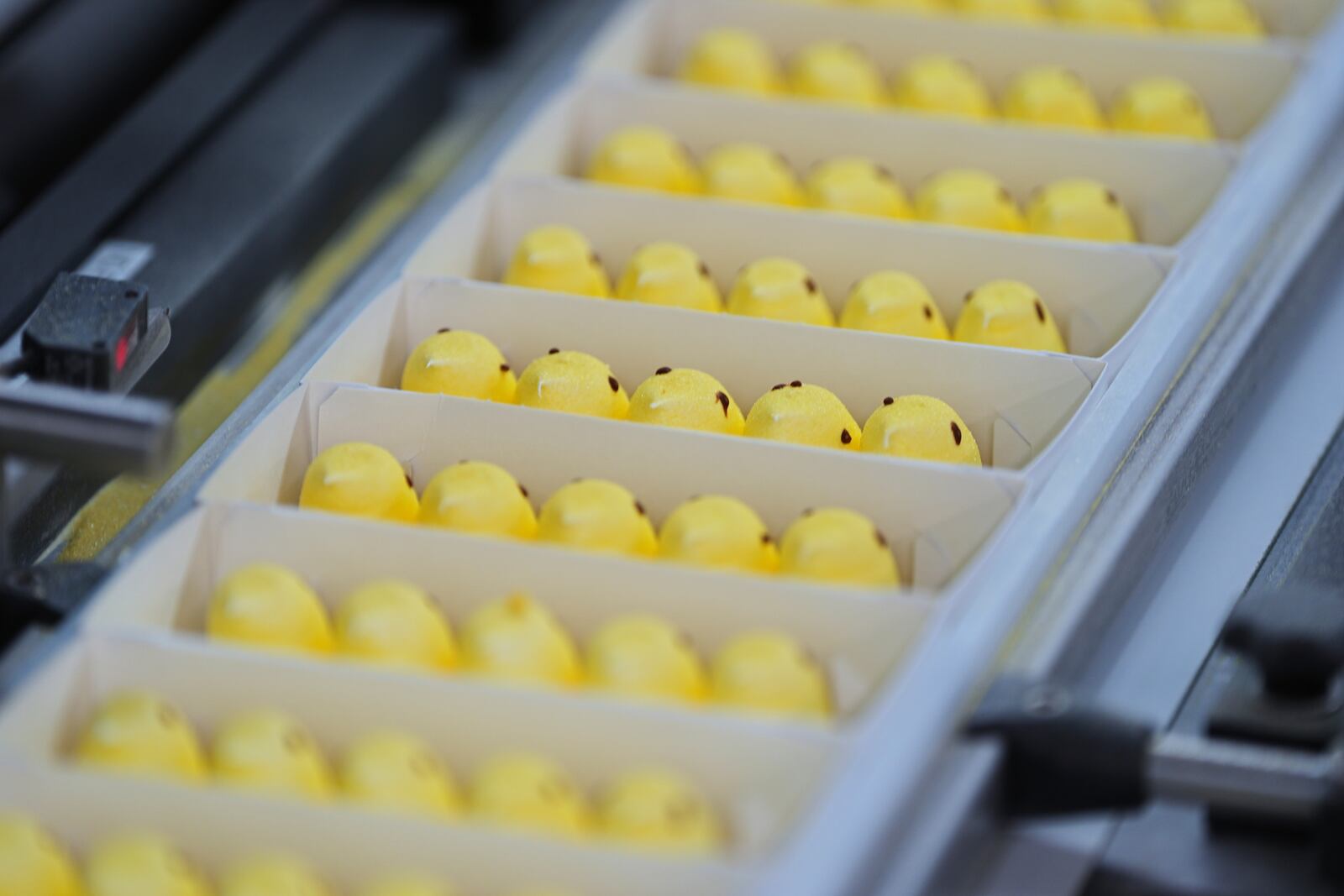 Peeps marshmallow treats move through the manufacturing process at the Just Born factory in Bethlehem, Pa., Thursday, April 10, 2025. (AP Photo/Matt Rourke)