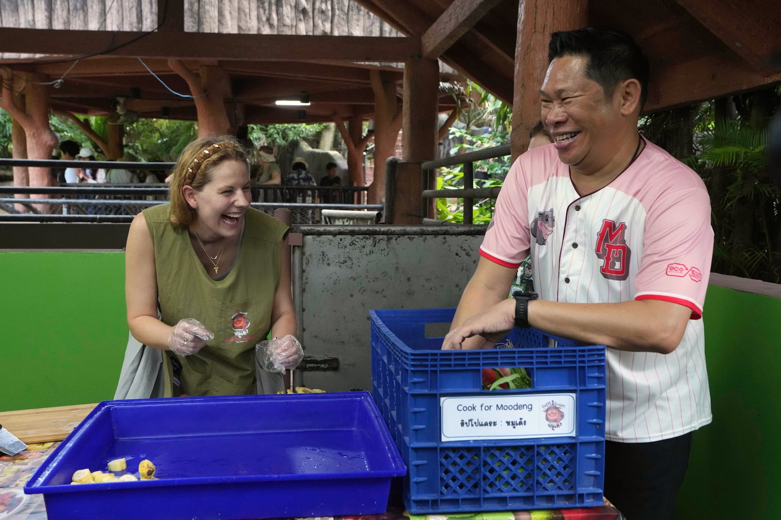 Khao Kheow Open Zoo Director Narongwit Chodchoy C hodchoy, right, and Molly Swindall, a visitor from New York, prepare food for hippo Moo Deng, which turned one year old, at the Khao Kheow Open Zoo in Chonburi province, Thailand, Thursday, July 10, 2025. (AP Photo/Sakchai Lalit)