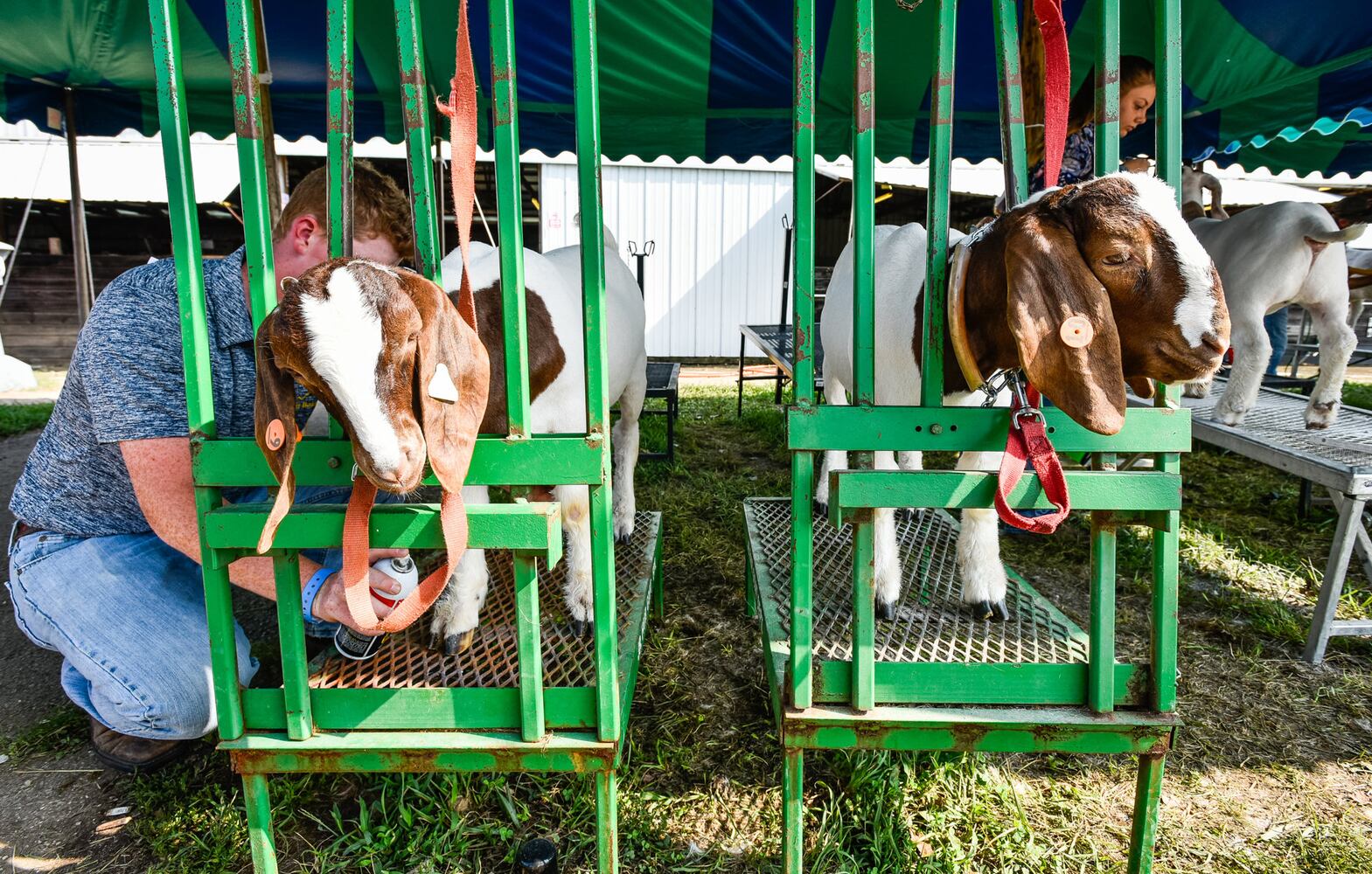 Broken Horn Rodeo closes out the night Wednesday at the Butler County Fair