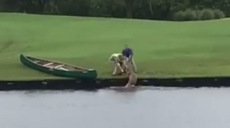Video shows a deer being saved from a country club pond in Florida. (Sarasota County Sheriff’s Office)