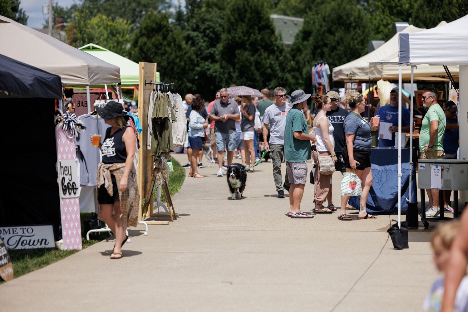 Hamilton Flea August 2024