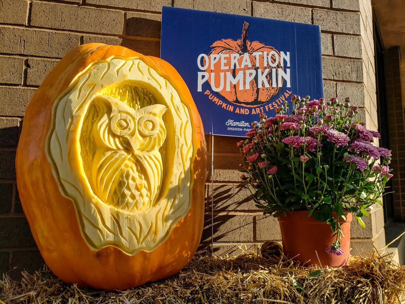 100820 Operation Pumpkin