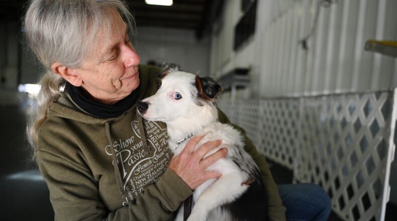 Pictured is Susan Albright, of Connorsville, Ind., with her dog, Sage, a miniature Australian Shepherd, during the last session of a course on Oct. 8, 2024, at the Hamilton Dog Training Club in Fairfield, Ohio. On Sunday, Oct. 13, 2024, the club, which was founded in Hamilton, will celebrate 70 years. MICHAEL D. PITMAN/STAFF