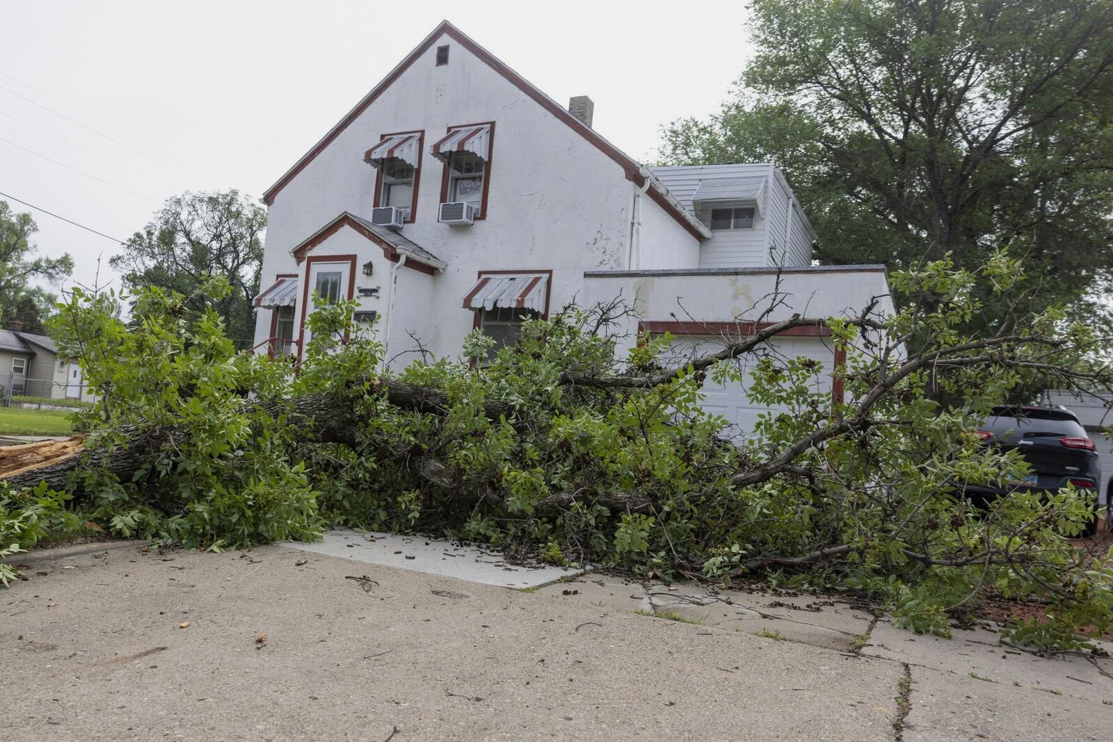 A broken tree lays in a yard from the previous night's severe thunderstorms in Bismarck, N.D., on Saturday, June 21, 2025. (Tanner Ecker /The Bismarck Tribune via AP)