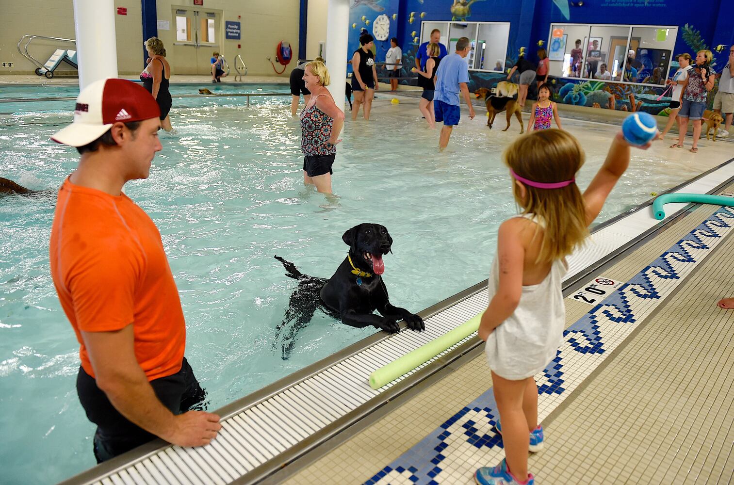 News hounds (8/27/15)