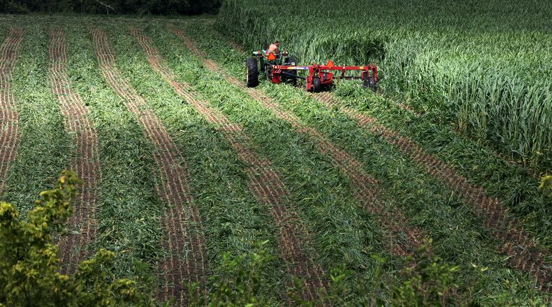 Thanksgiving is a time to be thankful for Ohio farmers like this one harvesting a field of sugarcane along Tremont City Road this fall.