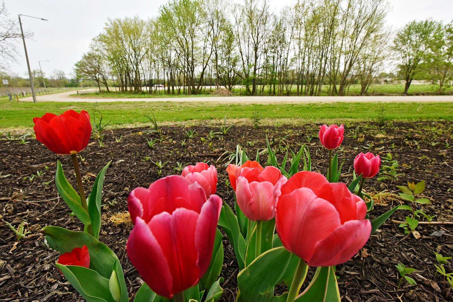 Flower photos to make you think about warmer weather around the corner