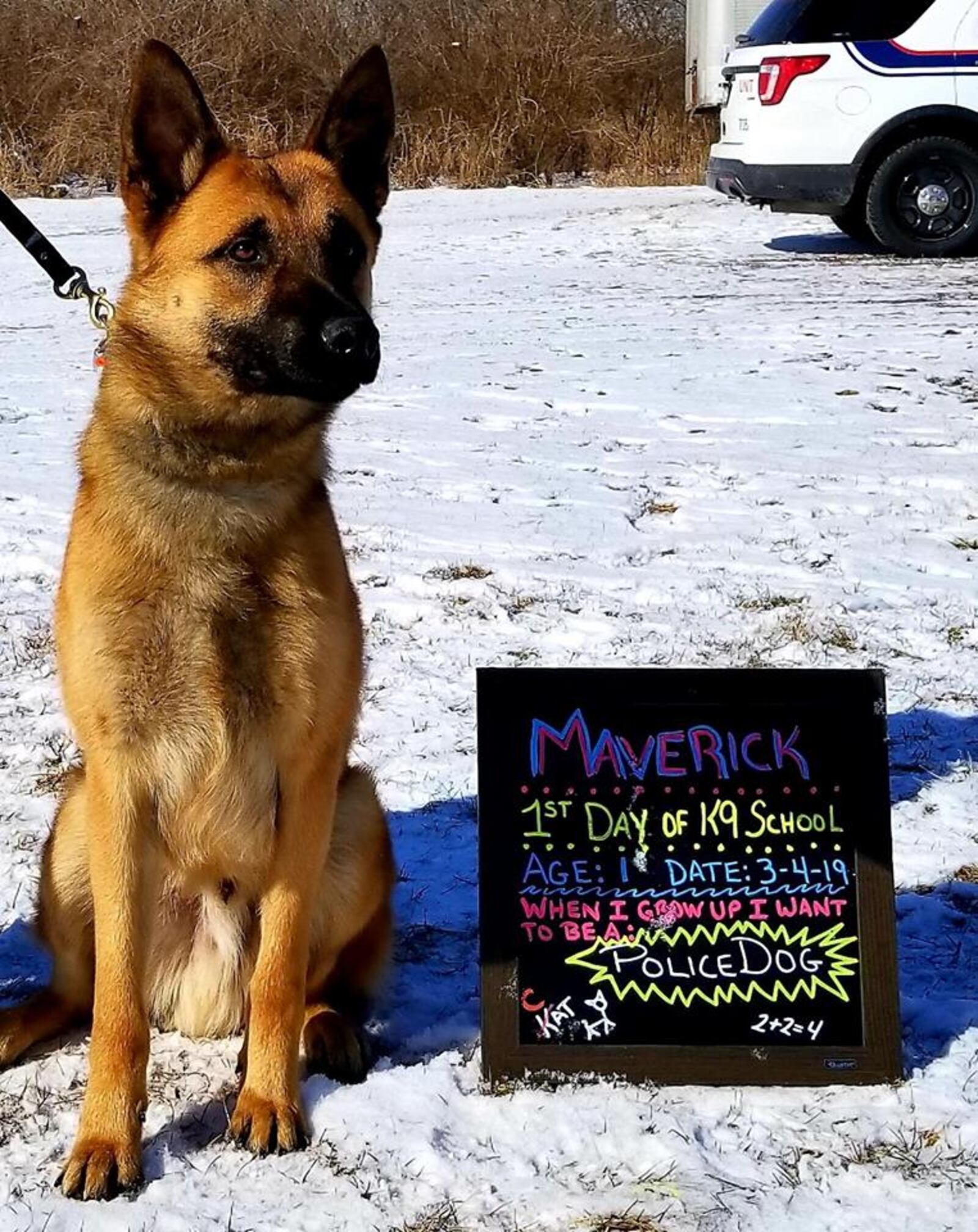 Officer Lindsey Schwarber will handle Maverick.