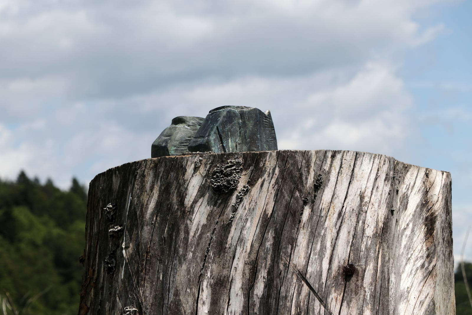 Ankles of sawed off and taken away bronze statue which represented Melania Trump remain on the tree stump where it was placed in 2020, in the village of Rozno, Slovenia, Friday, May 16, 2025, near Melania Trump's hometown of Sevnica. (AP Photo/Relja Dusek)