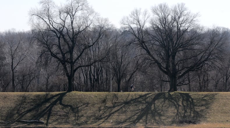 With the sunny weather the shadows of the trees along the river on Patterson Road resemble the roots of the trees.