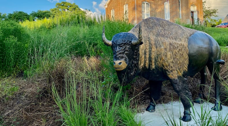 A new, historically themed garden is now open at the site of one of West Chester Twp.’s oldest school buildings. The former Station Road school house’s campus features a walk-through garden display – including a giant bison statue, horse-drawn wagon, last-century wind mill – showcasing native flowers and other plants from the township’s past. (Photo by Michael D. Clark/Journal-News)