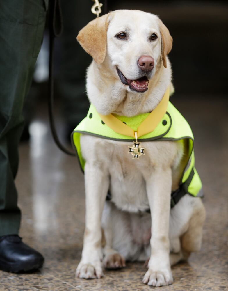 News hounds (9/10/15)