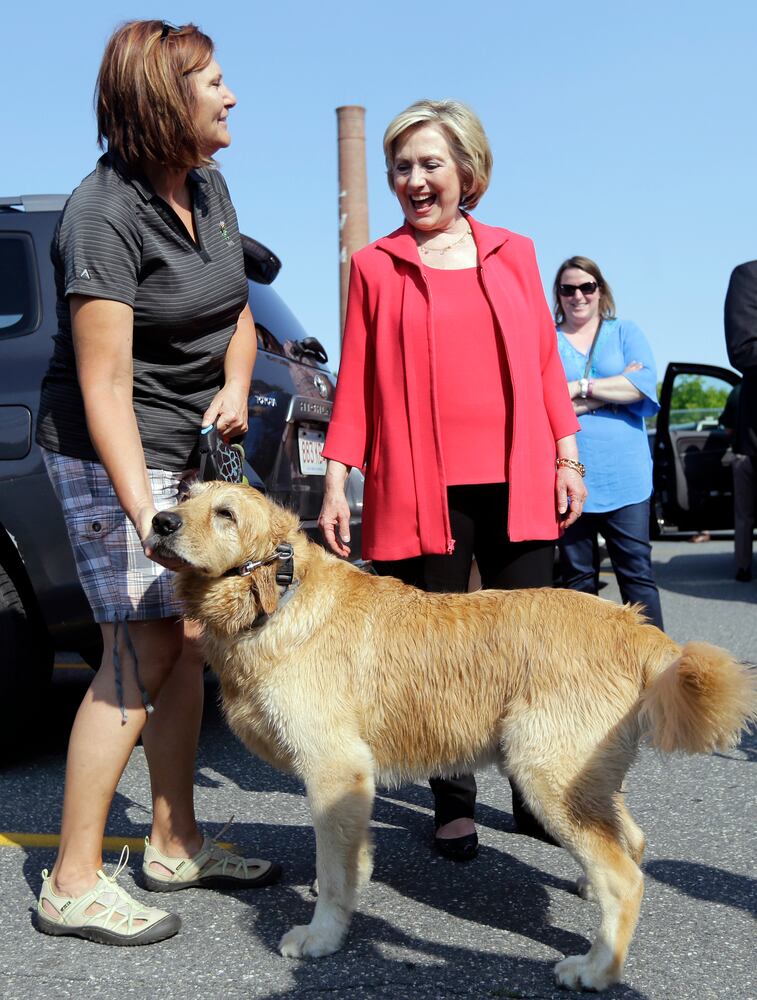 News hounds (7/9/15)