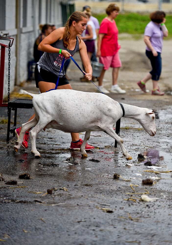 Warren County Fair 2015 Day 1