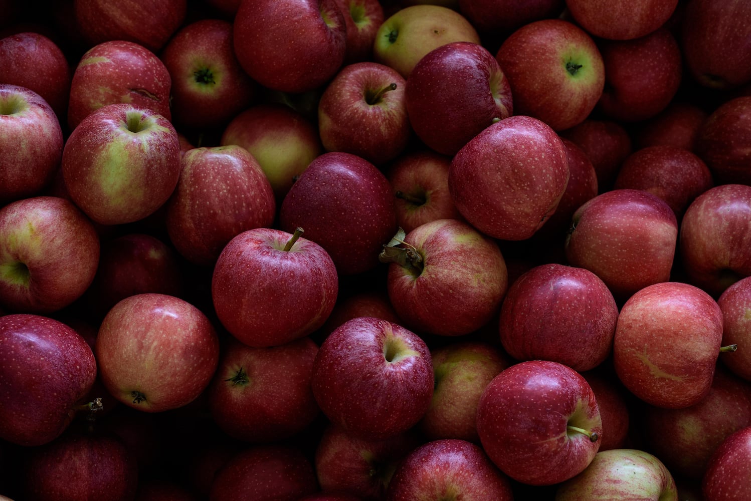 Hidden Valley Orchards